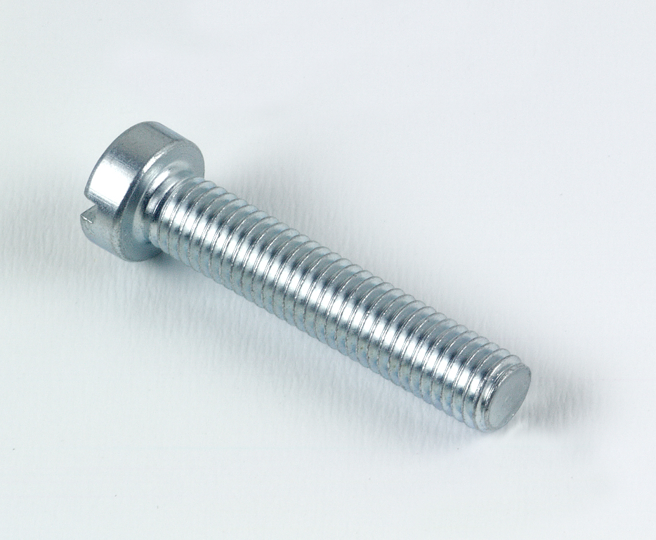 TOPCAR - 100 vis a métaux tête cylindrique fendue 5X10 - 7985-5X10